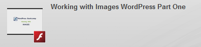 working with images wordpress